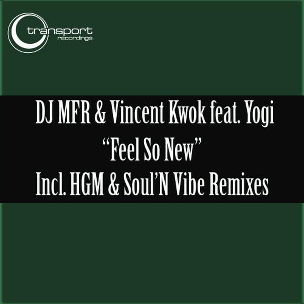 Feels so New (Hard Groove Maschine &amp; Soul'nvibe Dub Mix)