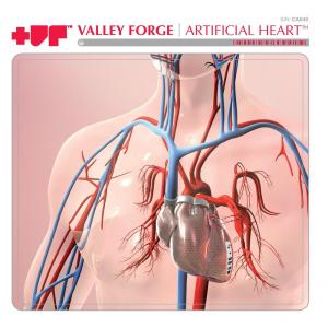 ดาวน์โหลดและฟังเพลง Wayfaring Stranger พร้อมเนื้อเพลงจาก Valley Forge