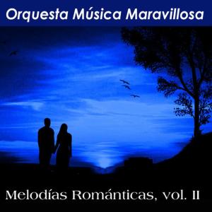 收聽Orquesta Música Maravillosa的Without You歌詞歌曲