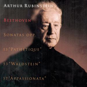 收聽Arthur Rubinstein的Sonata No. 8, Op. 13 in C Minor: Rondo: Allegro歌詞歌曲