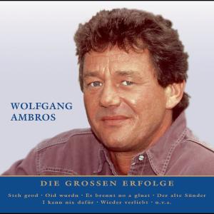 ดาวน์โหลดและฟังเพลง Oid wurdn พร้อมเนื้อเพลงจาก WolfgangAmbros