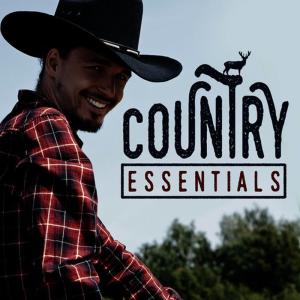 ดาวน์โหลดและฟังเพลง Keep on Loving You พร้อมเนื้อเพลงจาก Country Love