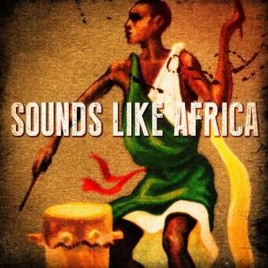 African Tribal Orchestra的專輯Sounds Like Africa (African Beats, Drums, Sounds and Music)