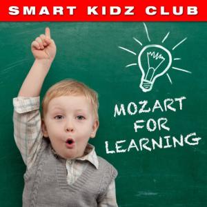 收聽Jnos Rolla & Franz Liszt Chamber Orchestra的Divertimento in F Major, K. 138, "Salzburg Symphony No. 3": II. Andante歌詞歌曲