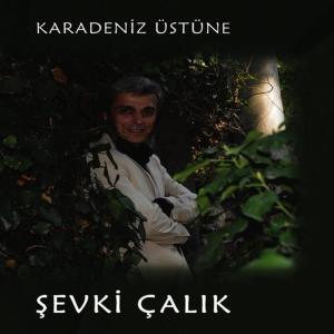 收聽Şevki Çalık的Gemiler Giresune歌詞歌曲