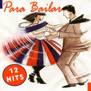 Various Artists的專輯Para Bailar - 12 Hits