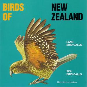 收聽Birds of New Zealand的Diving Petrel (Kuaka)歌詞歌曲