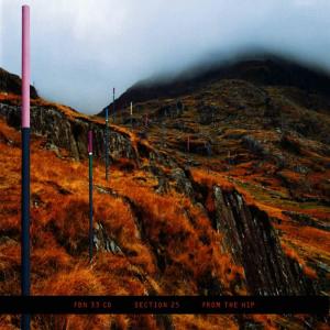 Section 25的專輯From the Hip: 30th Anniversary Edition