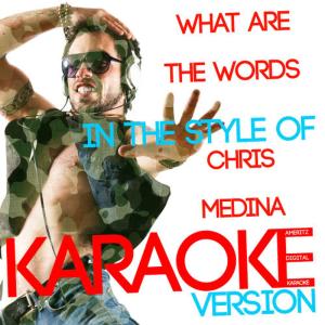 ดาวน์โหลดและฟังเพลง What Are the Words (Karaoke Version 丨 In the Style of Chris Medina) พร้อมเนื้อเพลงจาก Ameritz Digital Karaoke