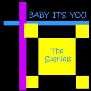 ดาวน์โหลดและฟังเพลง Play It Cool พร้อมเนื้อเพลงจาก The Spaniels