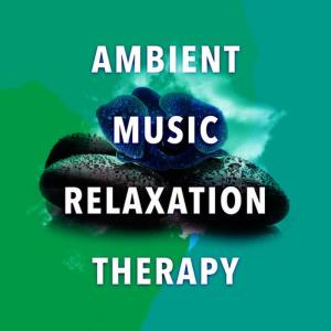 收聽Ambient Music Therapy的Enchantment歌詞歌曲