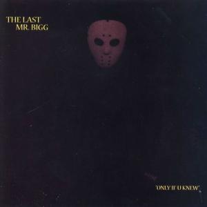 收聽The Last Mr. Bigg的Dopeman B**ch歌詞歌曲