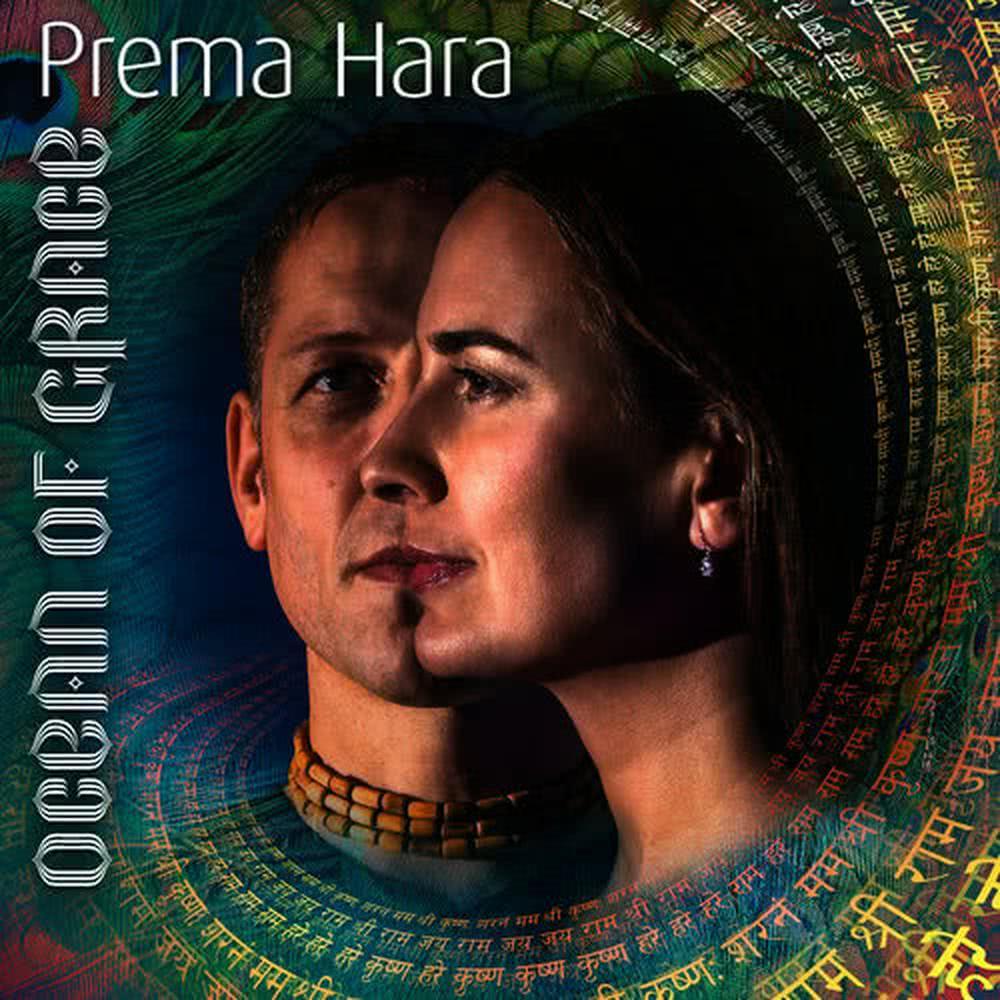 Ocean of Grace (Shri Krishna Sharanam)