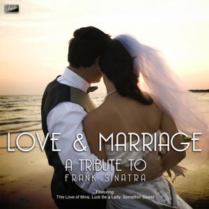 ดาวน์โหลดและฟังเพลง Fly Me to the Moon พร้อมเนื้อเพลงจาก Ameritz Tribute Tracks