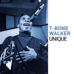 ดาวน์โหลดและฟังเพลง Misfortune Blues พร้อมเนื้อเพลงจาก T-Bone Walker