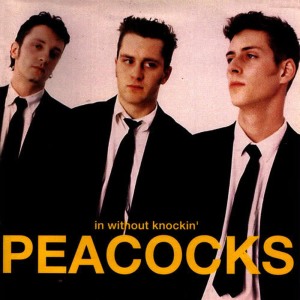 ดาวน์โหลดและฟังเพลง Not Enough พร้อมเนื้อเพลงจาก The Peacocks
