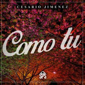 ดาวน์โหลดและฟังเพลง Como Tú พร้อมเนื้อเพลงจาก Cesario Jimenez