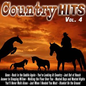 Various Artists的專輯Country Hits Vol. 4
