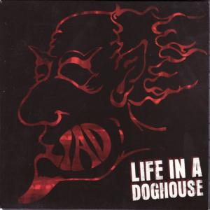 ดาวน์โหลดและฟังเพลง Final Take พร้อมเนื้อเพลงจาก Life In a Doghouse