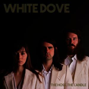 ดาวน์โหลดและฟังเพลง Cold Mountain พร้อมเนื้อเพลงจาก White Dove