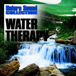 ดาวน์โหลดและฟังเพลง Seaside Surf and Seagulls for Serene Meditation พร้อมเนื้อเพลงจาก Nature Sound Collection