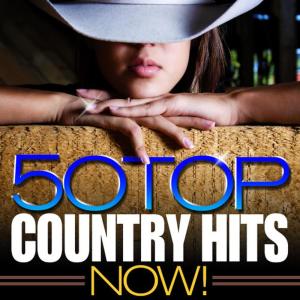 ดาวน์โหลดและฟังเพลง Live Like You Were Dying พร้อมเนื้อเพลงจาก Modern Country Heroes