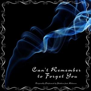 收聽Hens Party Studio的Can't Remember to Forget You歌詞歌曲