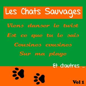 ดาวน์โหลดและฟังเพลง Sur ma plage พร้อมเนื้อเพลงจาก Les Chats Sauvages