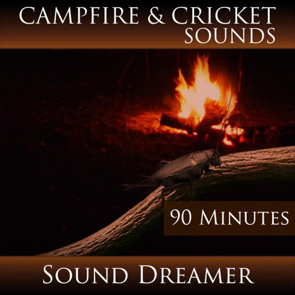 Campfire and Cricket Sounds - 90 Minutes