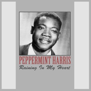收聽Peppermint Harris的Raining in My Heart歌詞歌曲