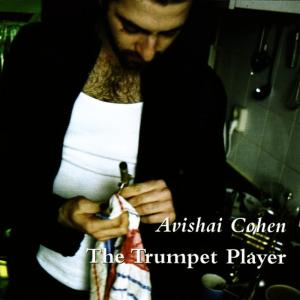 ดาวน์โหลดและฟังเพลง The Fast พร้อมเนื้อเพลงจาก Avishai Cohen Trio
