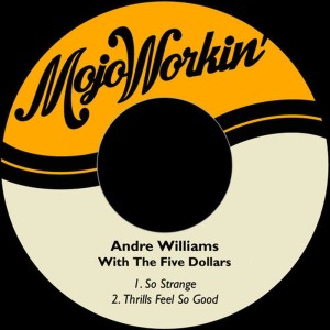 ดาวน์โหลดและฟังเพลง So Strange พร้อมเนื้อเพลงจาก Andre Williams