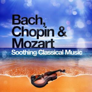 ดาวน์โหลดและฟังเพลง Motet in D Major, K. 618: Ave verum corpus (Arr. for String Quartet) (其他) พร้อมเนื้อเพลงจาก Northern String Quartet