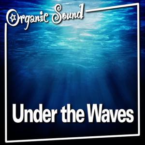 ดาวน์โหลดและฟังเพลง Listen to the Waves from Under the Water for Deep Relaxation and Meditation พร้อมเนื้อเพลงจาก Organic Sound
