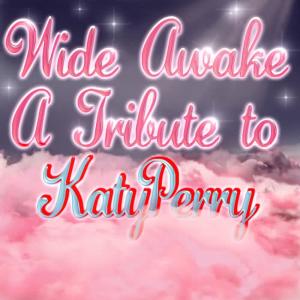 ดาวน์โหลดและฟังเพลง Wide Awake พร้อมเนื้อเพลงจาก Modern Pop Heroes