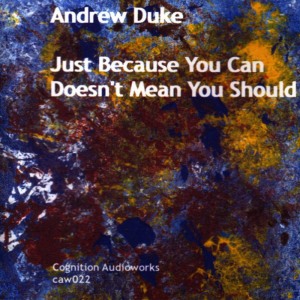 อัลบัม Just Because You Can Doesn't Mean You Should ศิลปิน Andrew Duke