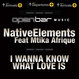 收聽Native Elements的I Wanna Know What Love Is (Max Martinez Afro Dub)歌詞歌曲