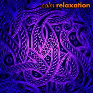 ดาวน์โหลดและฟังเพลง Higher Self พร้อมเนื้อเพลงจาก Calm Relaxation