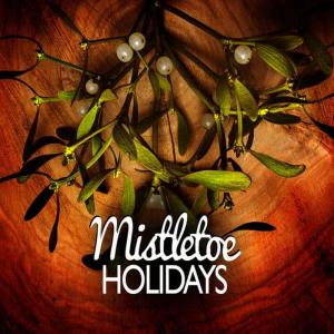 收聽Mistletoe Holidays的Carol of the Bells歌詞歌曲