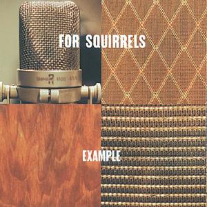 收聽For Squirrels的The Immortal Dog And Pony Show (Album Version)歌詞歌曲