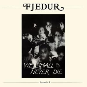 收聽Fjedur的Avangena (Dom Går Hitåt)歌詞歌曲