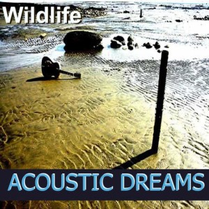 ดาวน์โหลดและฟังเพลง Hotel California พร้อมเนื้อเพลงจาก Wildlife
