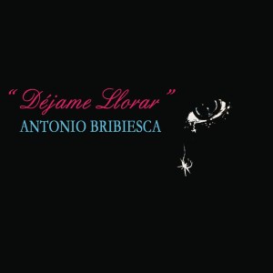 收聽Antonio Bribiesca的Adela歌詞歌曲