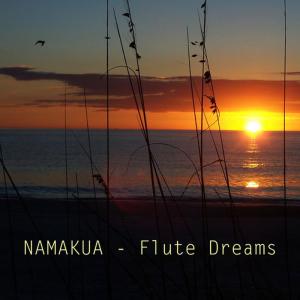 ดาวน์โหลดและฟังเพลง Awaken พร้อมเนื้อเพลงจาก Namakua