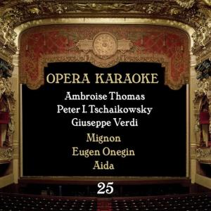 收聽Experts Studio Orchestra的Medley (Introduction / Arioso of Lenski / Chorus of Girls / Waltz Scene / Couplet of Triquet / Mazurka / Ecossaise / Onegin's Aria / Polonaise) (Karaoke Version)歌詞歌曲