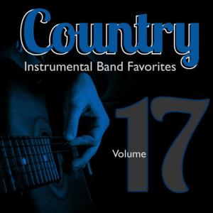 收聽Hit Crew Masters的When You Come Back Down (Instrumental Version)歌詞歌曲