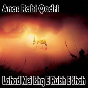 Dengarkan Ab Karam Ya Mustafa lagu dari Anas Rabi Qadri dengan lirik
