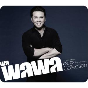 ดาวน์โหลดและฟังเพลง คนไม่เจียม พร้อมเนื้อเพลงจาก พลพล