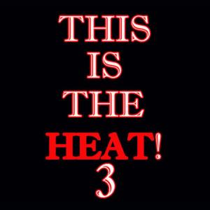 Liquid Audio的專輯This Is the Heat 3 - Karaoke Tributes