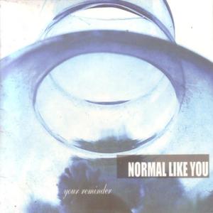 ดาวน์โหลดและฟังเพลง Picture Frames พร้อมเนื้อเพลงจาก Normal Like You